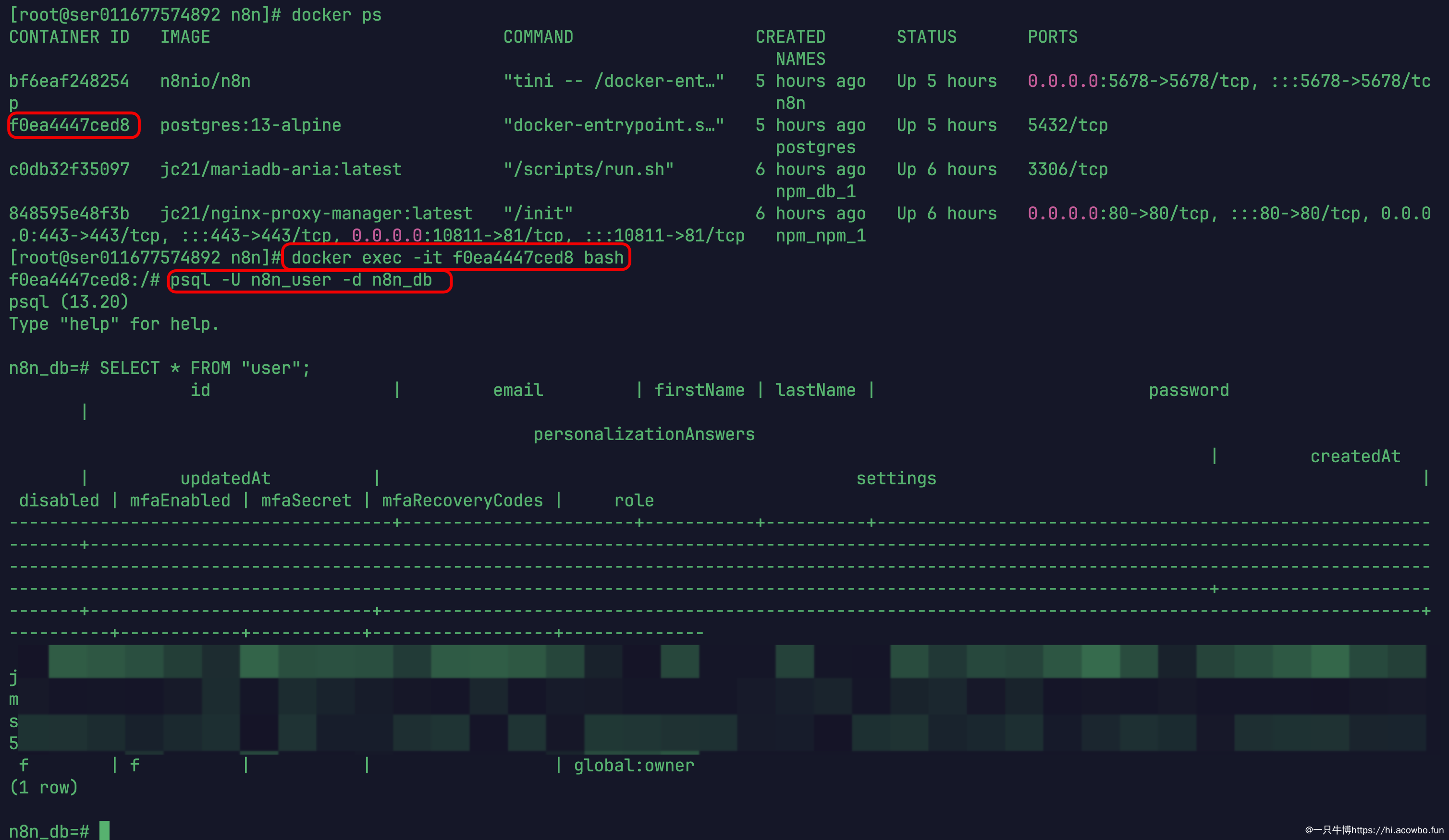 image-20250410223927767