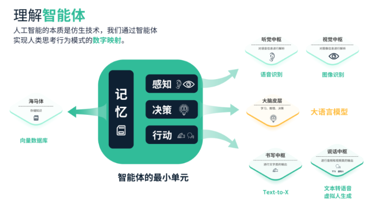 image-20250222113253253